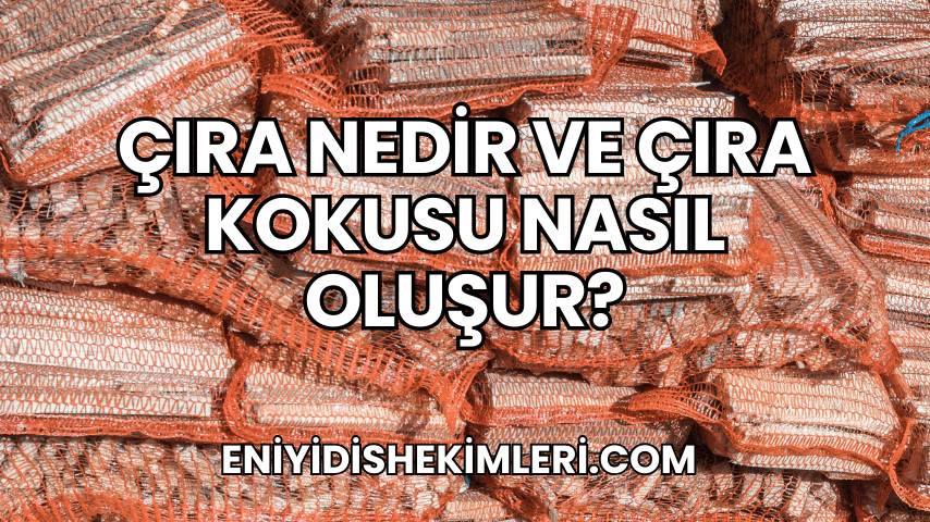 Çıra Nedir ve Çıra Kokusu Nasıl Oluşur?