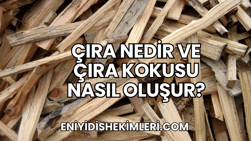 Çıra Nedir ve Çıra Kokusu Nasıl Oluşur?