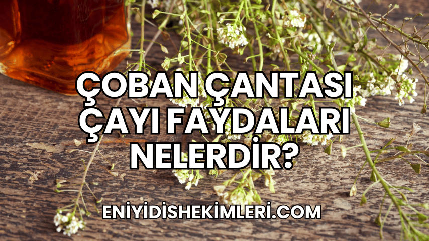 Çoban Çantası Çayı Faydaları Nelerdir?