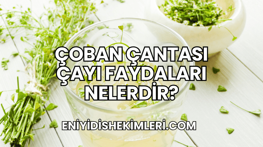 Çoban Çantası Çayı Faydaları Nelerdir?