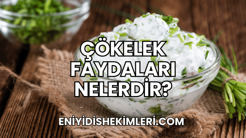 Çökelek Faydaları Nelerdir?