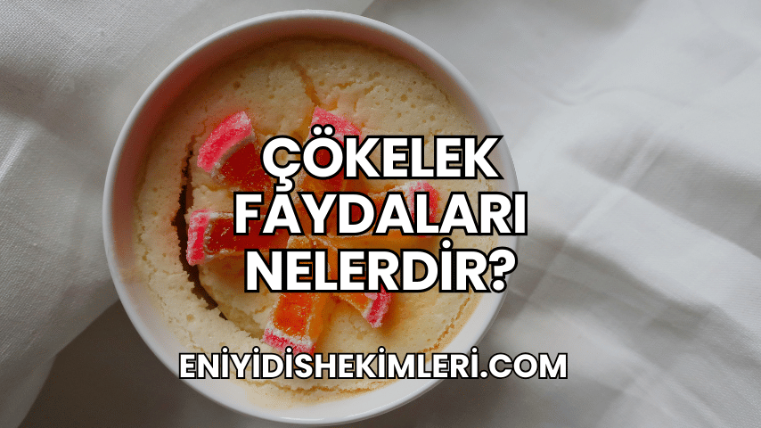 Çökelek Faydaları Nelerdir?