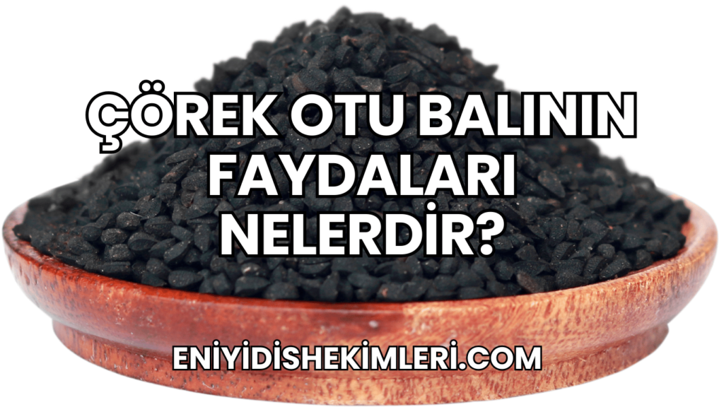 Çörek Otu Balının Faydaları Nelerdir?