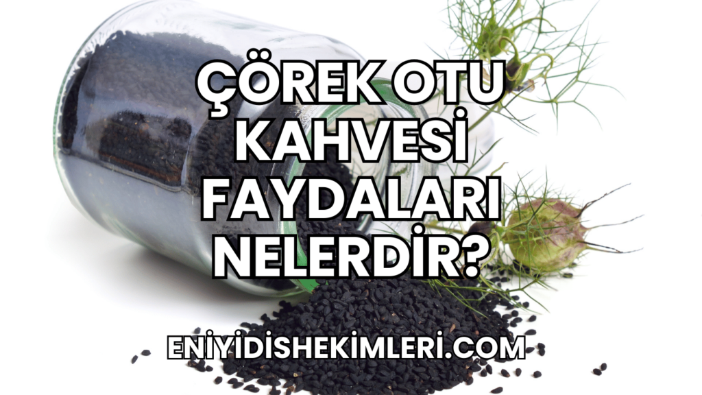 Çörek Otu Kahvesi Faydaları Nelerdir?