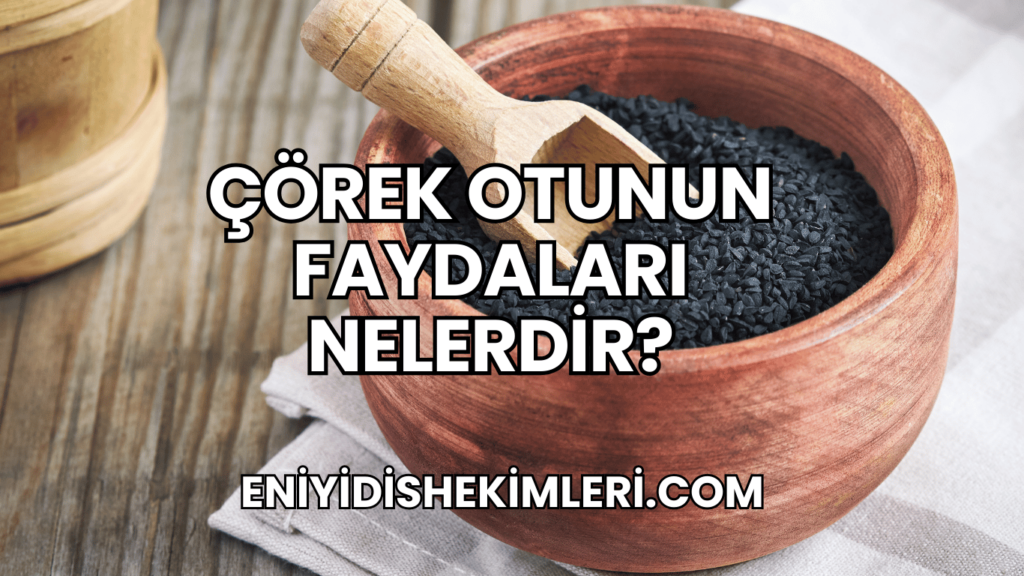 Çörek Otunun Faydaları Nelerdir?