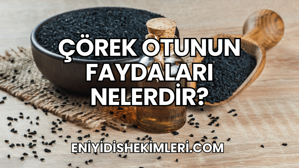 Çörek Otunun Faydaları Nelerdir?