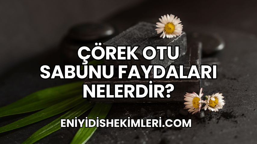 Çörek Otu Sabunu Faydaları Nelerdir?