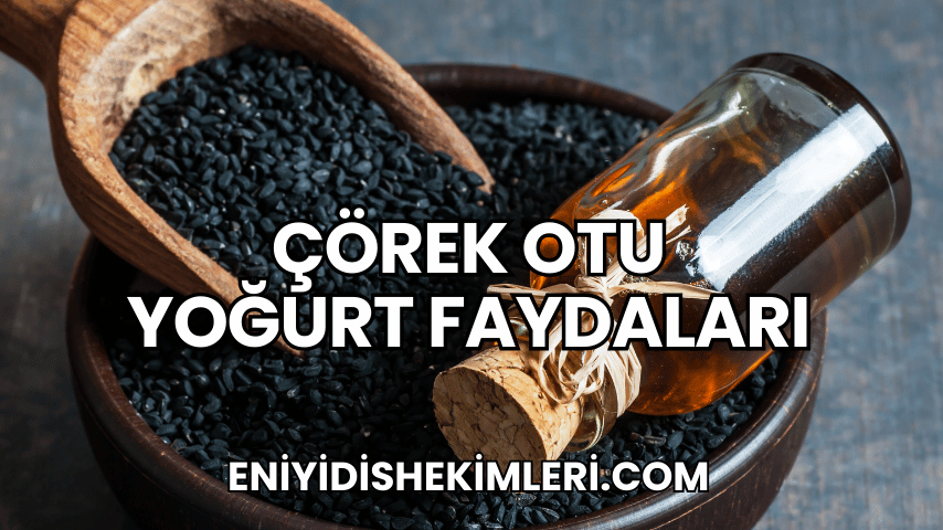 Çörek Otu Yoğurt Faydaları