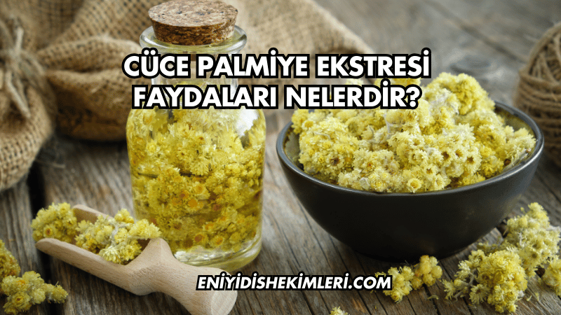 Cüce Palmiye Ekstresi Faydaları Nelerdir?