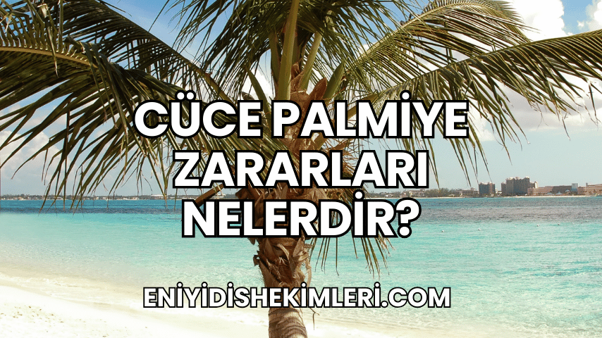 Cüce Palmiye Zararları Nelerdir