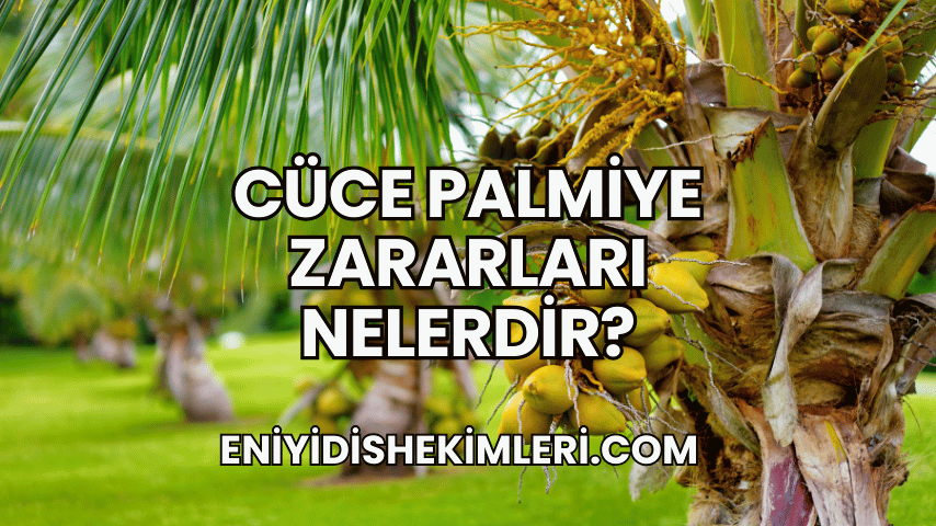 Cüce Palmiye Zararları Nelerdir