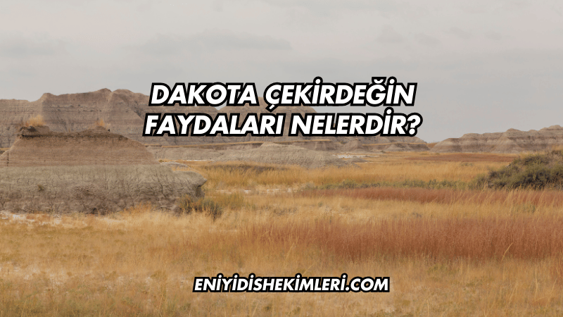 Dakota Çekirdeğin Faydaları Nelerdir?