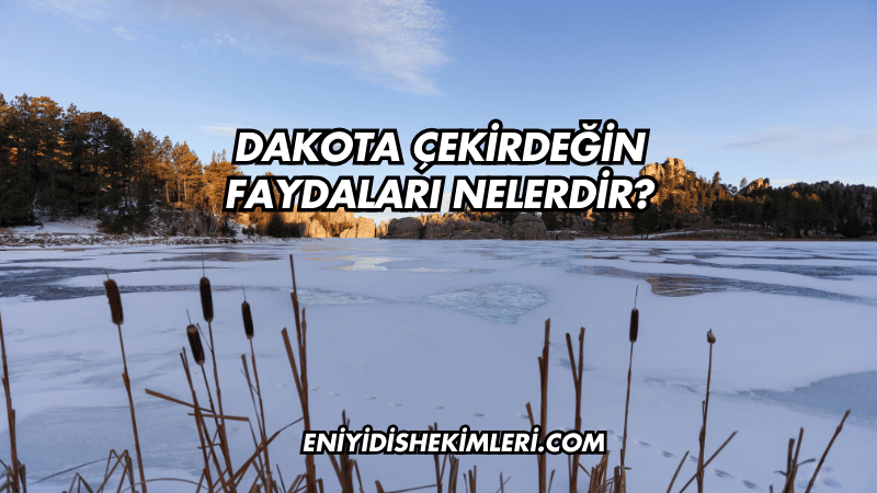 Dakota Çekirdeğin Faydaları Nelerdir?