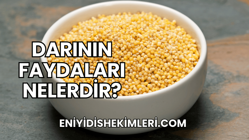 Darının Faydaları Nelerdir?