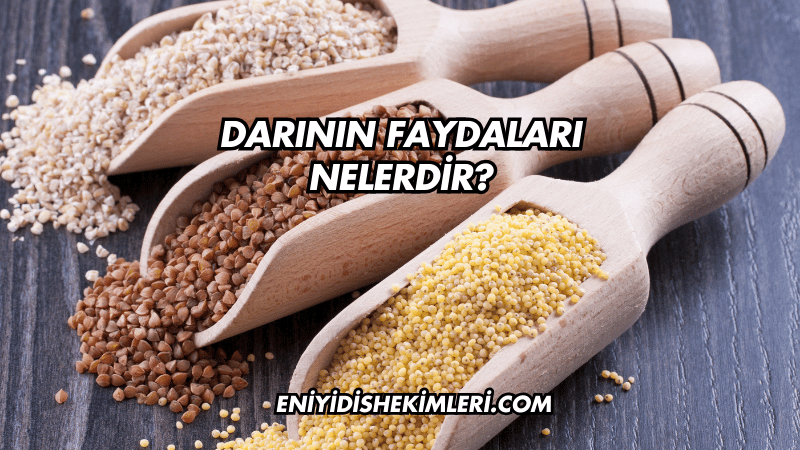 Darının Faydaları Nelerdir?