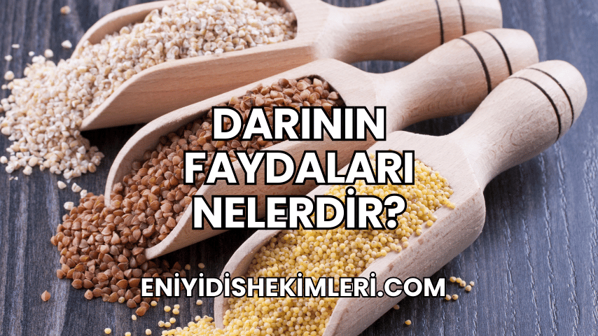 Darının Faydaları Nelerdir?