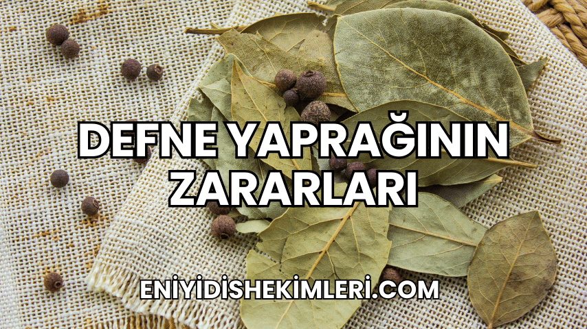 Defne Yaprağının Zararları