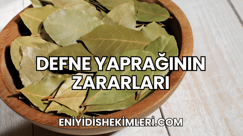 Defne Yaprağının Zararları