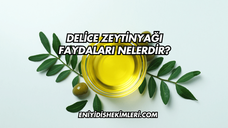 Delice Zeytinyağı Faydaları Nelerdir?