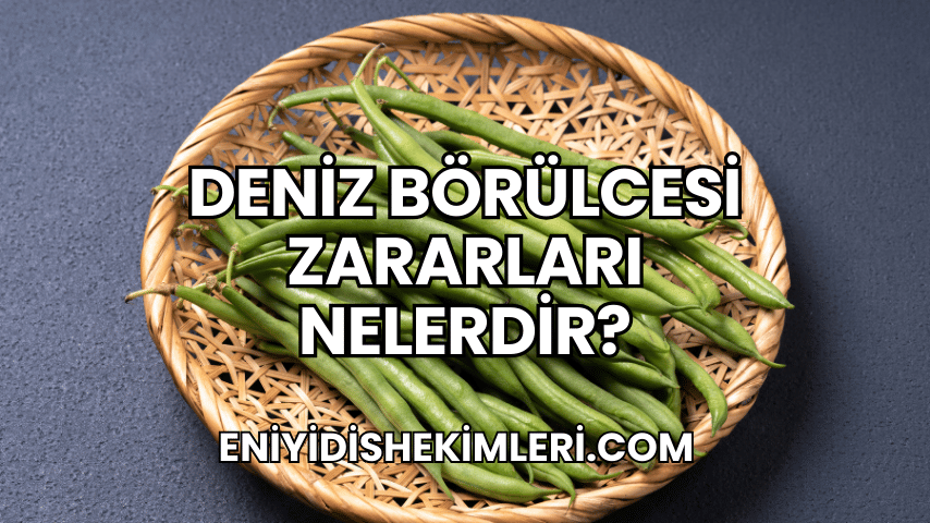 Deniz Börülcesi Zararları Nelerdir