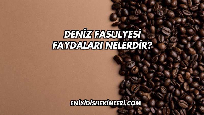 Deniz Fasulyesi Faydaları Nelerdir?