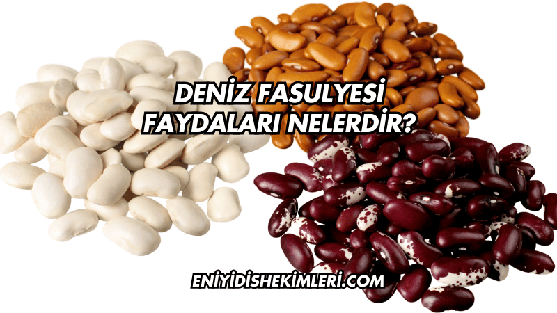 Deniz Fasulyesi Faydaları Nelerdir?