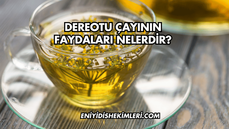 Dereotu Çayının Faydaları Nelerdir?