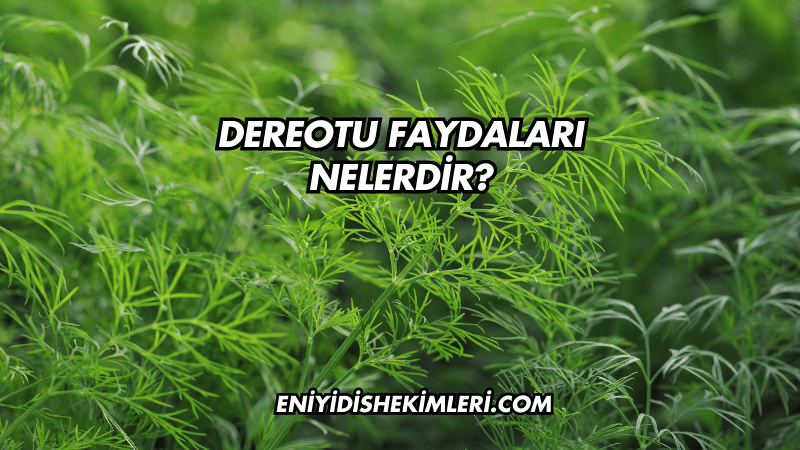 Dereotu Faydaları Nelerdir?