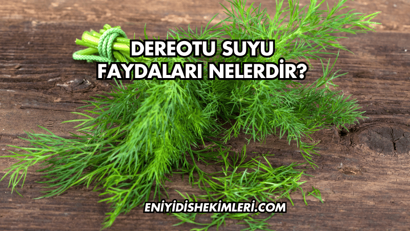 Dereotu Suyu Faydaları Nelerdir?