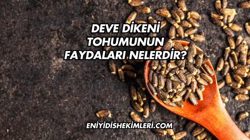 Deve Dikeni Tohumunun Faydaları Nelerdir?