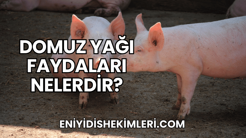 Domuz Yağı Faydaları Nelerdir?