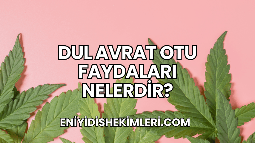 Dul Avrat Otu Faydaları Nelerdir?