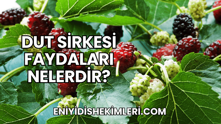 Dut Sirkesi Faydaları Nelerdir?