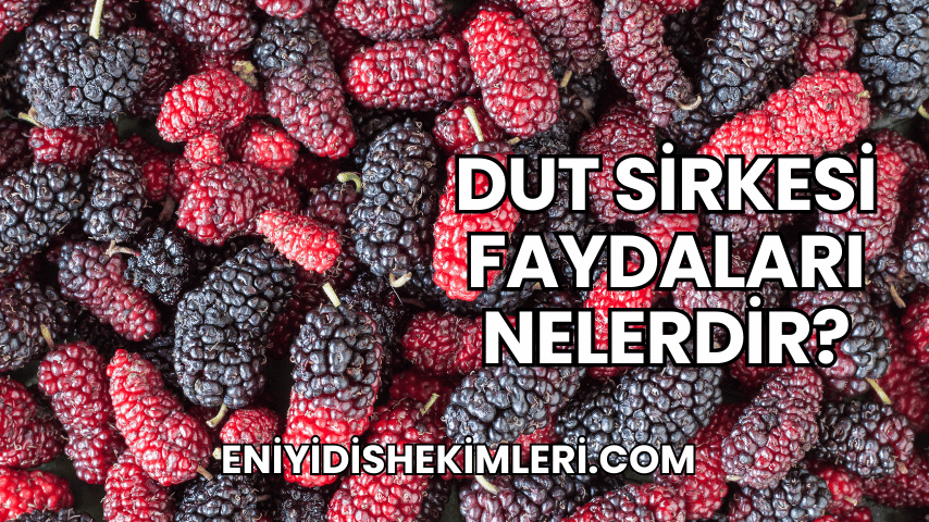 Dut Sirkesi Faydaları Nelerdir?