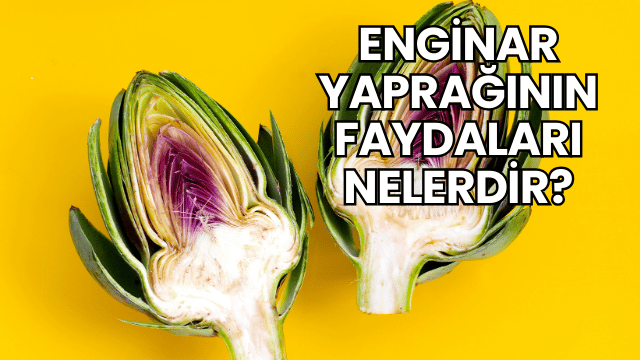 Enginar Yaprağının Faydaları Nelerdir?