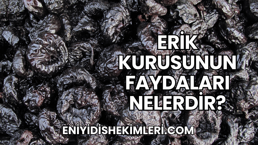 Erik Kurusunun Faydaları Nelerdir?