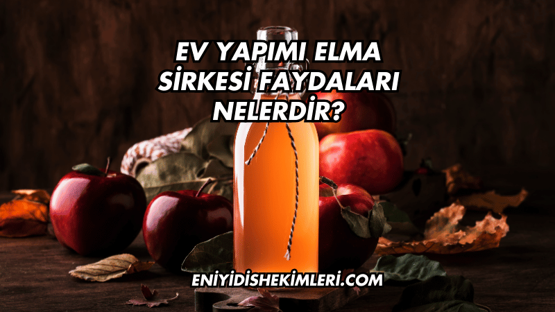 Ev Yapımı Elma Sirkesi Faydaları Nelerdir?