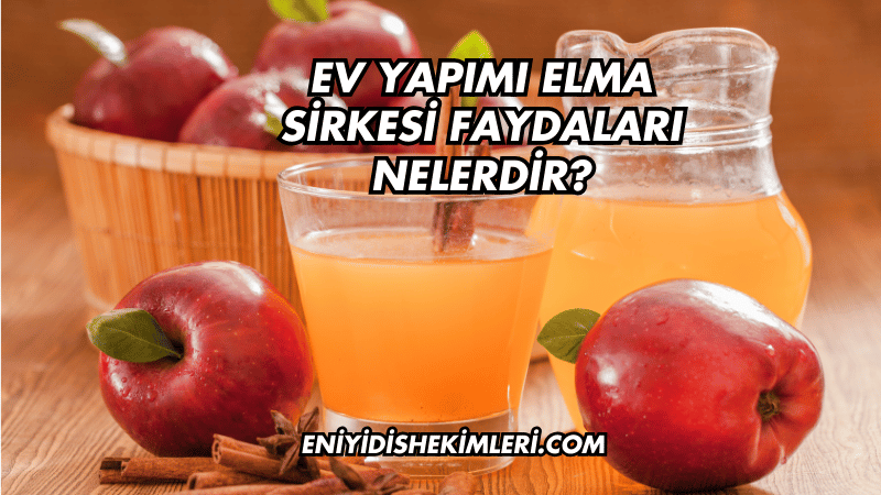 Ev Yapımı Elma Sirkesi Faydaları Nelerdir?