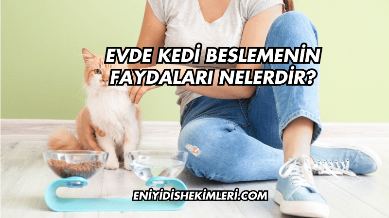 Evde Kedi Beslemenin Faydaları Nelerdir?