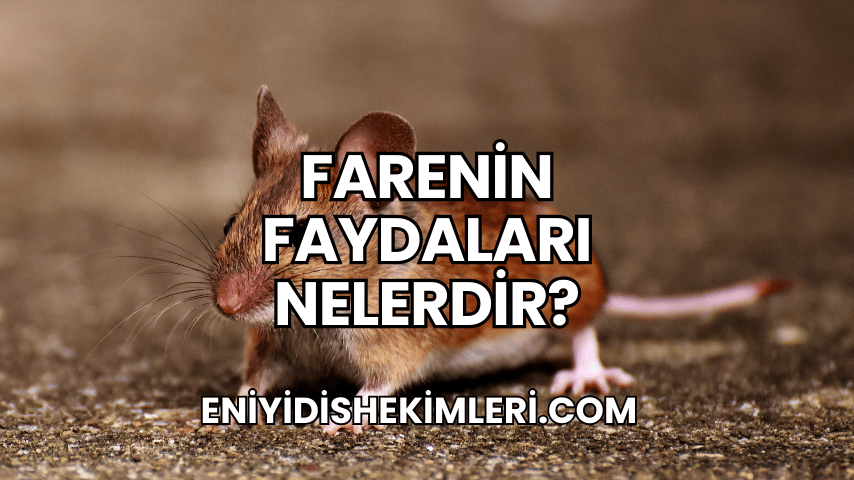 Farenin Faydaları Nelerdir?