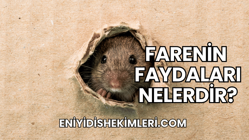 Farenin Faydaları Nelerdir?