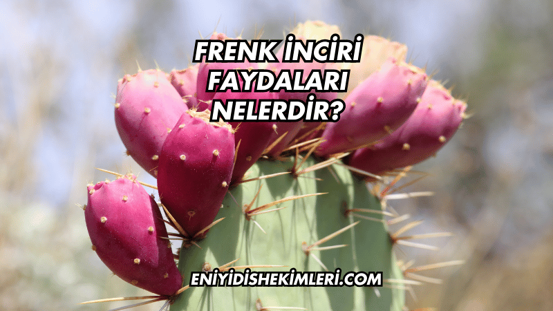 Frenk İnciri Faydaları Nelerdir?