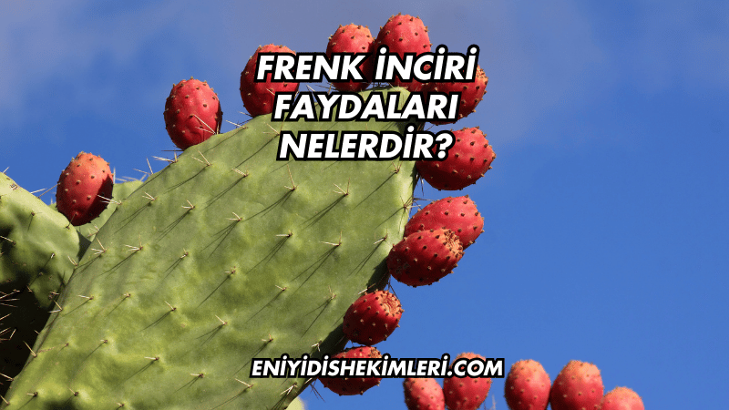 Frenk İnciri Faydaları Nelerdir?