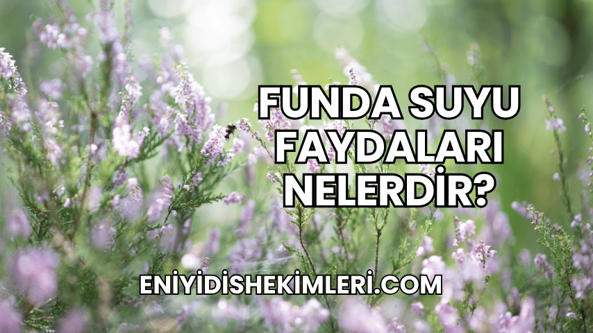 Funda Suyu Faydaları Nelerdir?