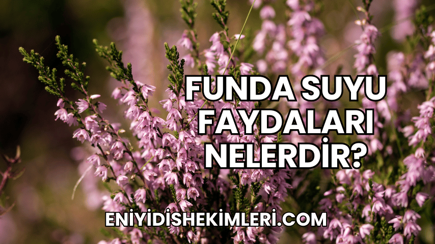 Funda Suyu Faydaları Nelerdir?