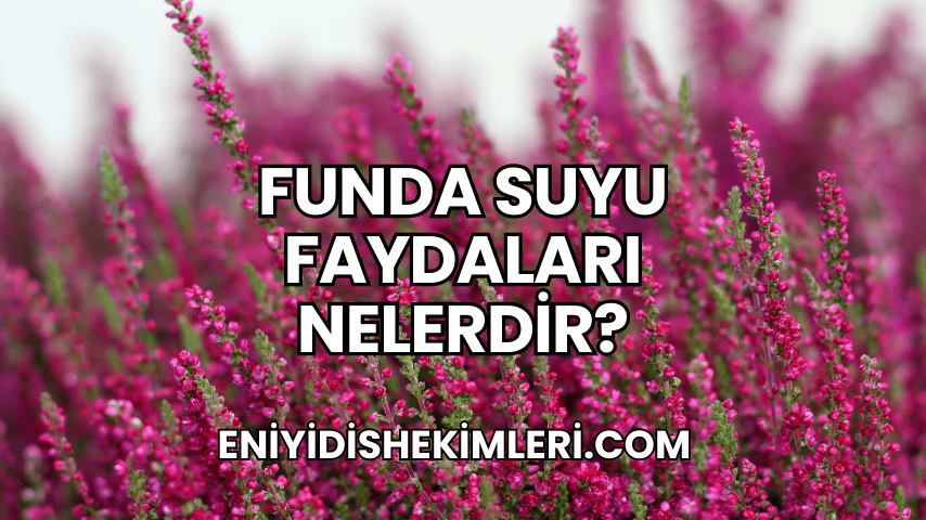 Funda Suyu Faydaları Nelerdir?