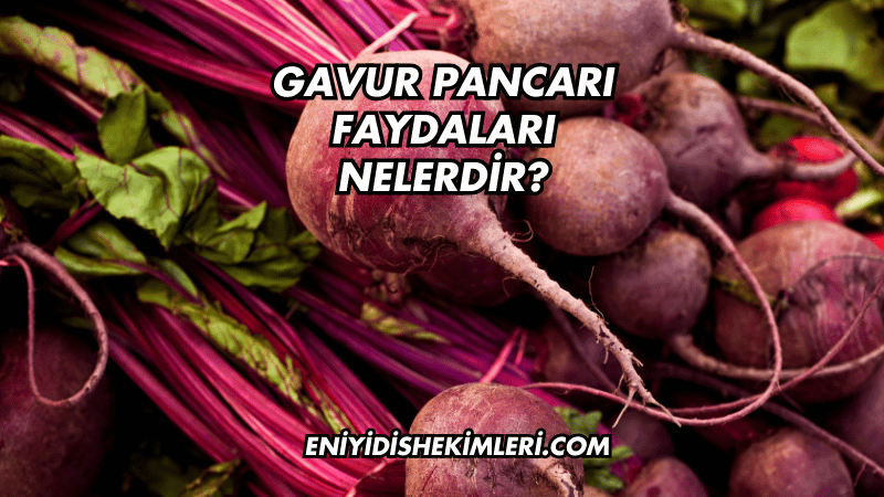 Gavur Pancarı Faydaları Nelerdir?