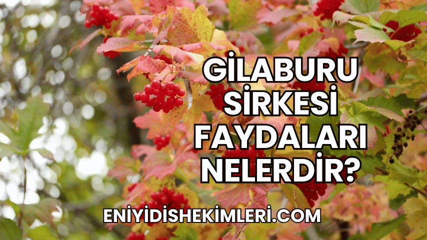 Gilaburu Sirkesi Faydaları Nelerdir?