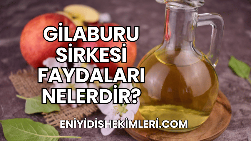 Gilaburu Sirkesi Faydaları Nelerdir?