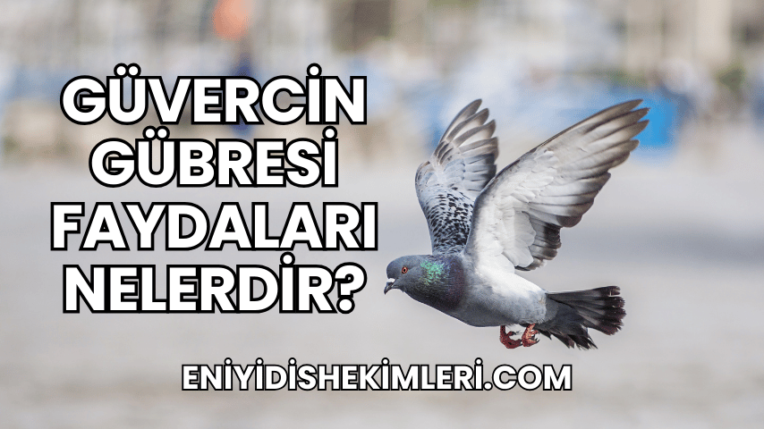 Güvercin Gübresi Faydaları Nelerdir?